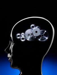 Brain Fitness