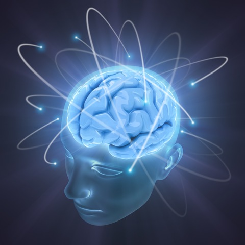 Brain Processing